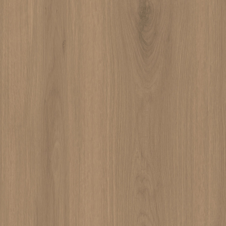 Sample - Canella Oak