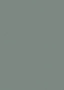 Sample - Supermatt - Sage Green